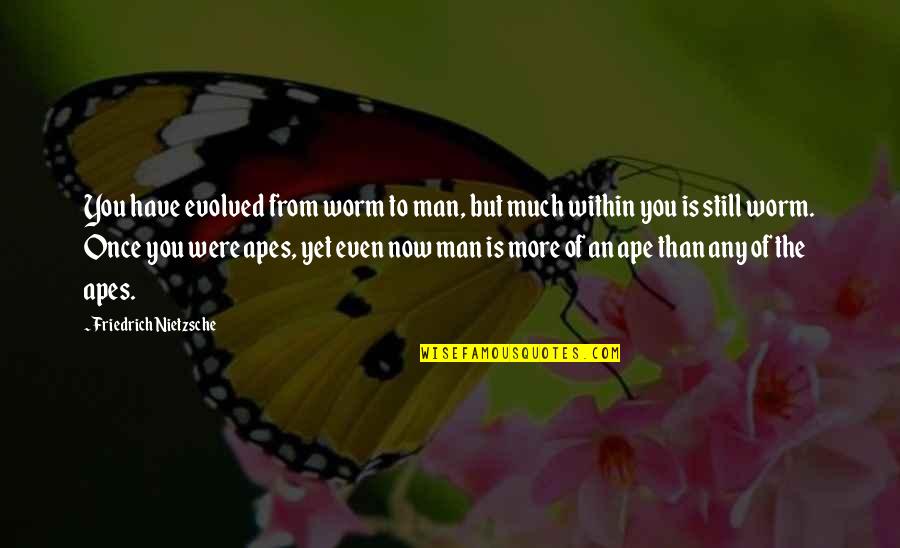 Steh Quotes By Friedrich Nietzsche: You have evolved from worm to man, but