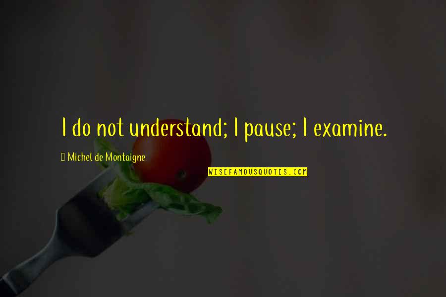 Steiert Quotes By Michel De Montaigne: I do not understand; I pause; I examine. Steiert Quotes By Michel De Montaigne: I do not understand; I pause; I examine.