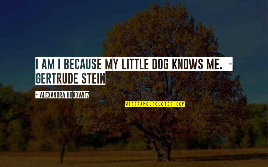 Stein Gertrude Quotes By Alexandra Horowitz: I am I because my little dog knows Stein Gertrude Quotes By Alexandra Horowitz: I am I because my little dog knows