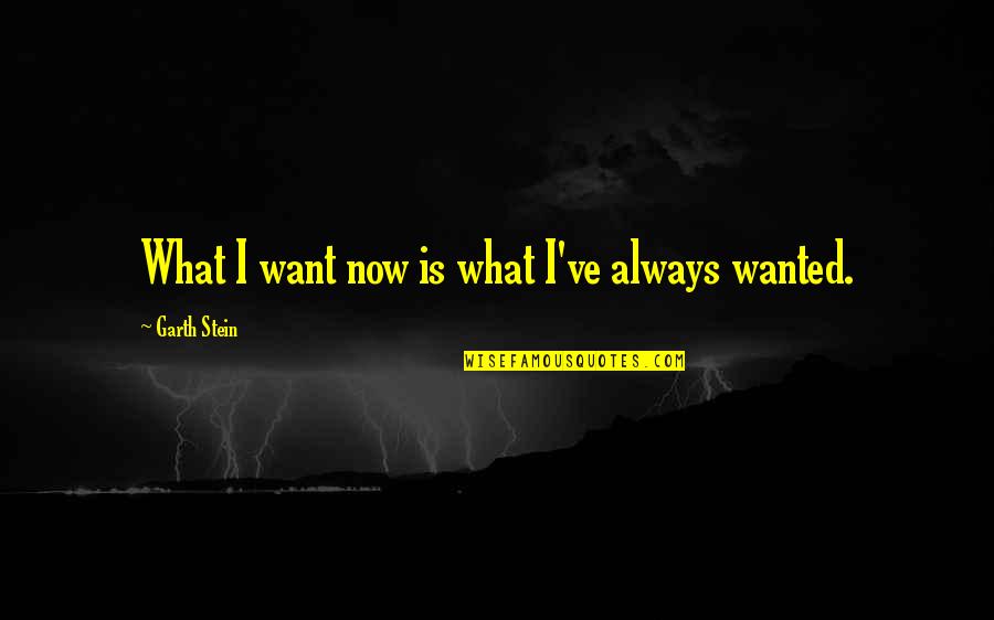 Stein Quotes By Garth Stein: What I want now is what I've always