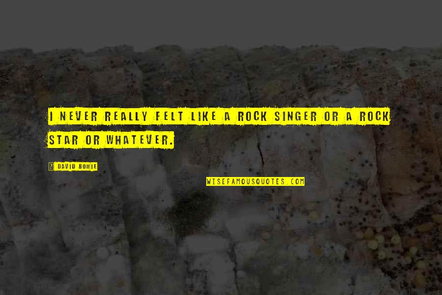 Steinaker Reservoir Quotes By David Bowie: I never really felt like a rock singer
