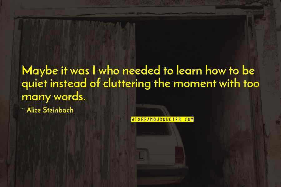 Steinbach Quotes By Alice Steinbach: Maybe it was I who needed to learn