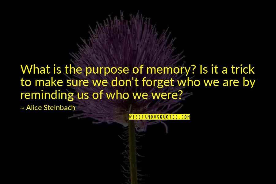 Steinbach Quotes By Alice Steinbach: What is the purpose of memory? Is it