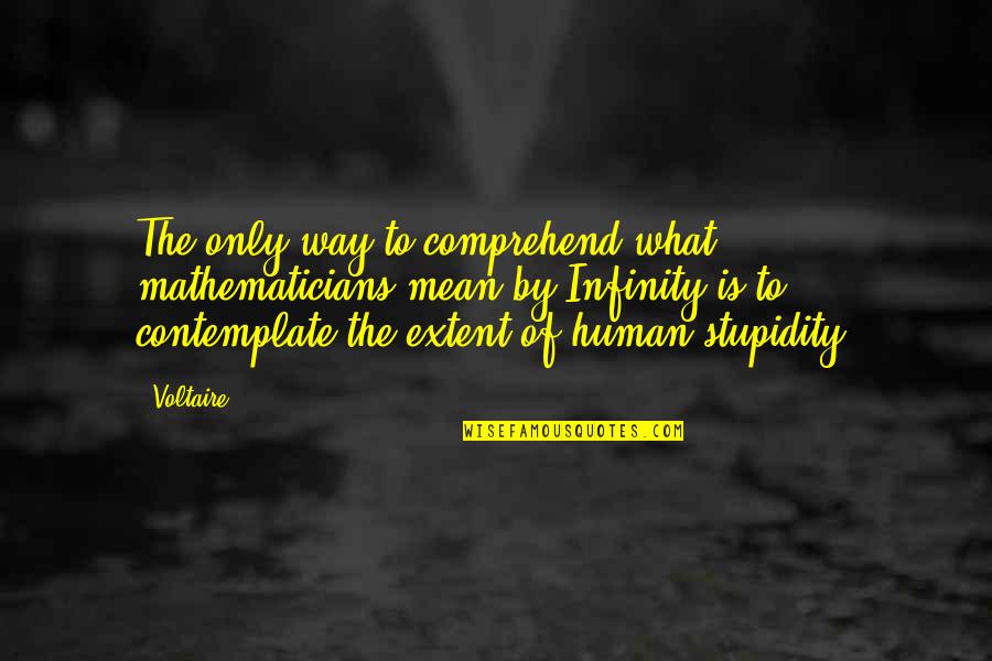 Steinbrueck Gretchen Team Quotes By Voltaire: The only way to comprehend what mathematicians mean Steinbrueck Gretchen Team Quotes By Voltaire: The only way to comprehend what mathematicians mean
