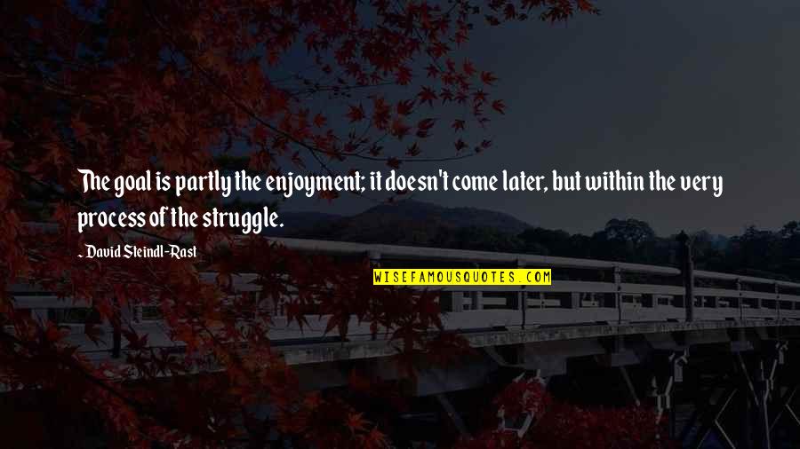 Steindl Quotes By David Steindl-Rast: The goal is partly the enjoyment; it doesn't