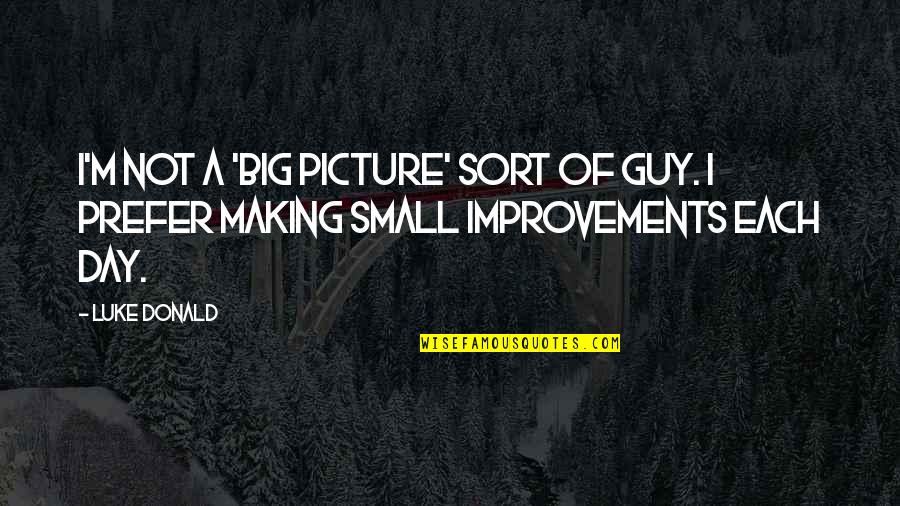 Steinhoff Orthodontist Quotes By Luke Donald: I'm not a 'big picture' sort of guy.