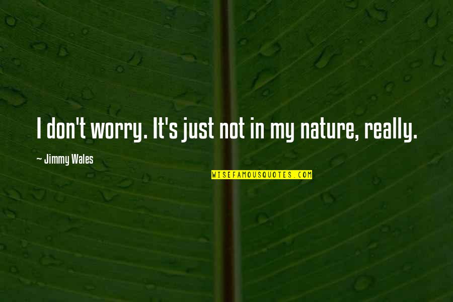 Steiniana Quotes By Jimmy Wales: I don't worry. It's just not in my
