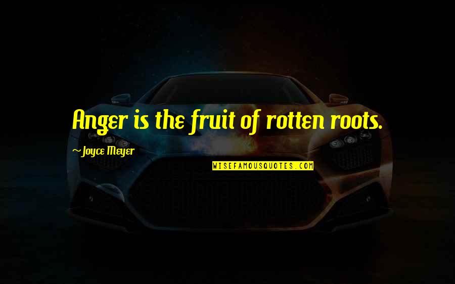 Steinman Quotes By Joyce Meyer: Anger is the fruit of rotten roots.
