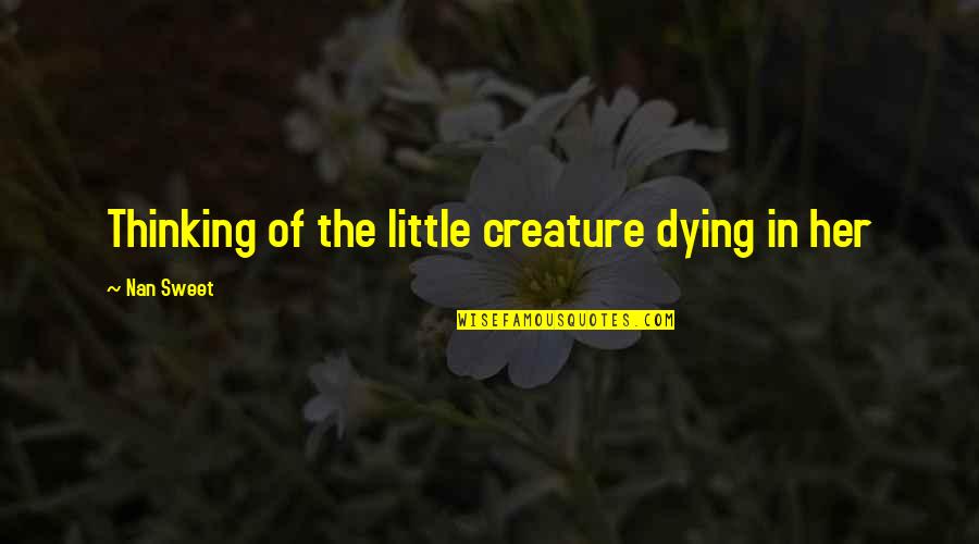 Stekelbees Quotes By Nan Sweet: Thinking of the little creature dying in her Stekelbees Quotes By Nan Sweet: Thinking of the little creature dying in her
