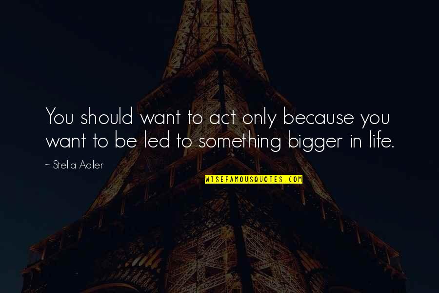 Stella Adler Quotes By Stella Adler: You should want to act only because you