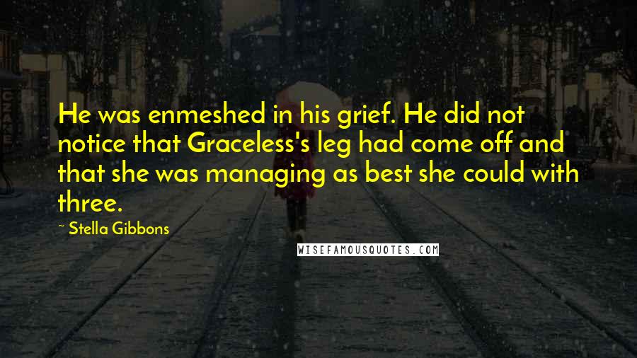 Stella Gibbons quotes: He was enmeshed in his grief. He did not notice that Graceless's leg had come off and that she was managing as best she could with three.