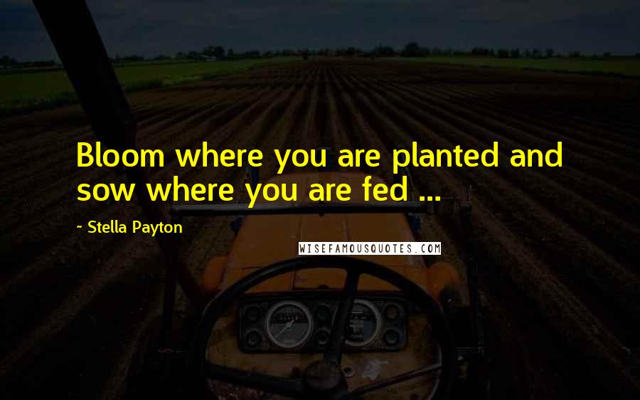 Stella Payton quotes: Bloom where you are planted and sow where you are fed ...