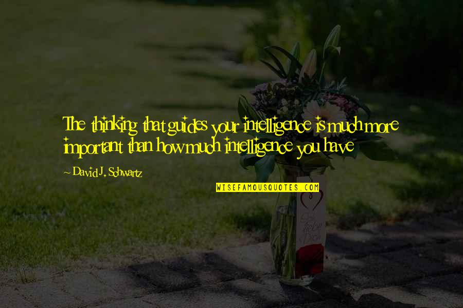 Stellaire Collection Quotes By David J. Schwartz: The thinking that guides your intelligence is much