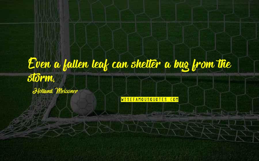 Stelten Om Quotes By Holland Meissner: Even a fallen leaf can shelter a bug Stelten Om Quotes By Holland Meissner: Even a fallen leaf can shelter a bug