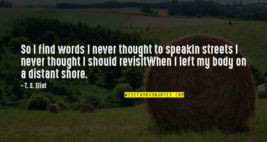 Stelzer Christ Becker Quotes By T. S. Eliot: So I find words I never thought to