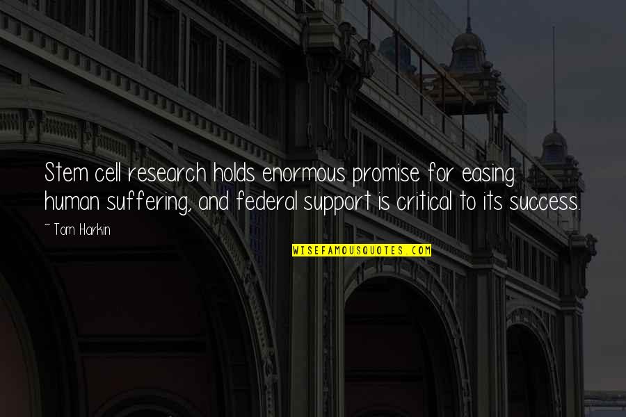 Stem Cell Research Support Quotes By Tom Harkin: Stem cell research holds enormous promise for easing Stem Cell Research Support Quotes By Tom Harkin: Stem cell research holds enormous promise for easing
