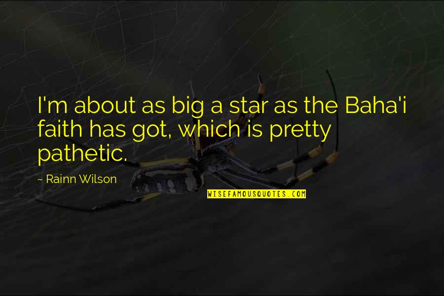 Stemmler Quotes By Rainn Wilson: I'm about as big a star as the