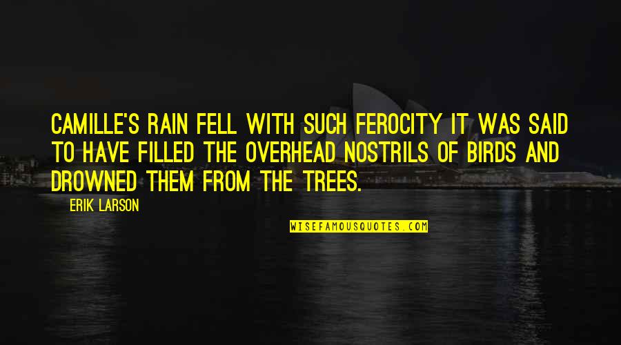 Stempien Gregory Quotes By Erik Larson: Camille's rain fell with such ferocity it was