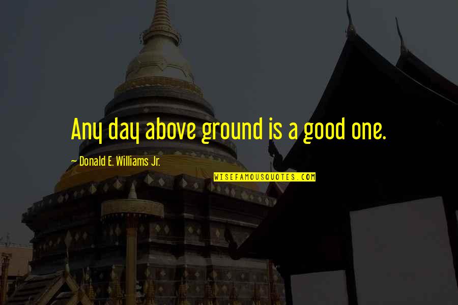 Stempler Law Quotes By Donald E. Williams Jr.: Any day above ground is a good one. Stempler Law Quotes By Donald E. Williams Jr.: Any day above ground is a good one.