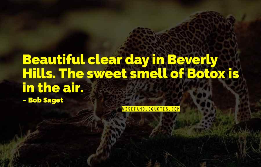Stenli Lauer Quotes By Bob Saget: Beautiful clear day in Beverly Hills. The sweet