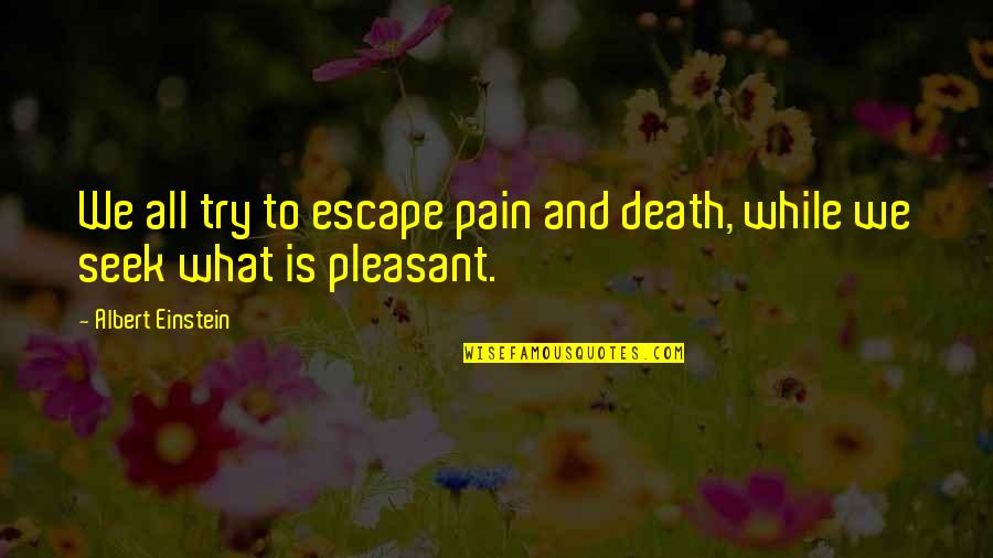 Stensland Farm Quotes By Albert Einstein: We all try to escape pain and death, Stensland Farm Quotes By Albert Einstein: We all try to escape pain and death,