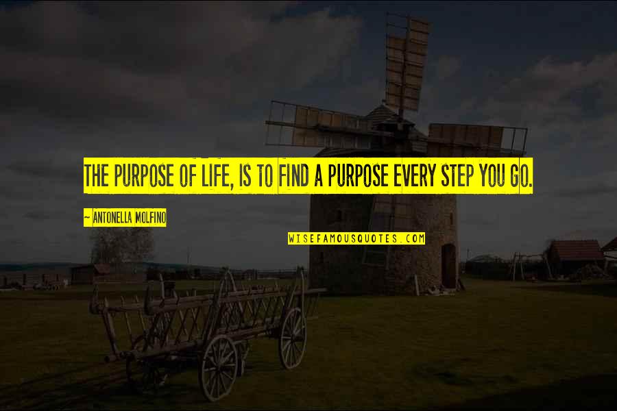 Step Into My Life Quotes By Antonella Molfino: The purpose of life, is to find a