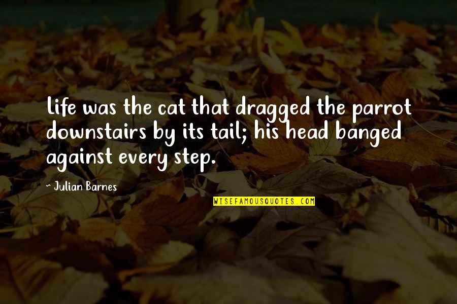 Step Into My Life Quotes By Julian Barnes: Life was the cat that dragged the parrot