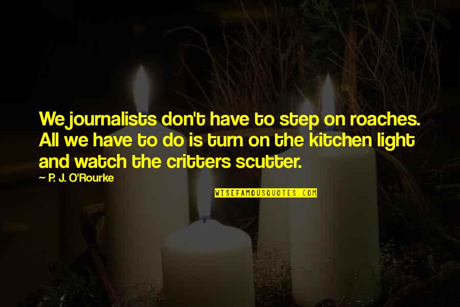 Step Into The Light Quotes By P. J. O'Rourke: We journalists don't have to step on roaches.