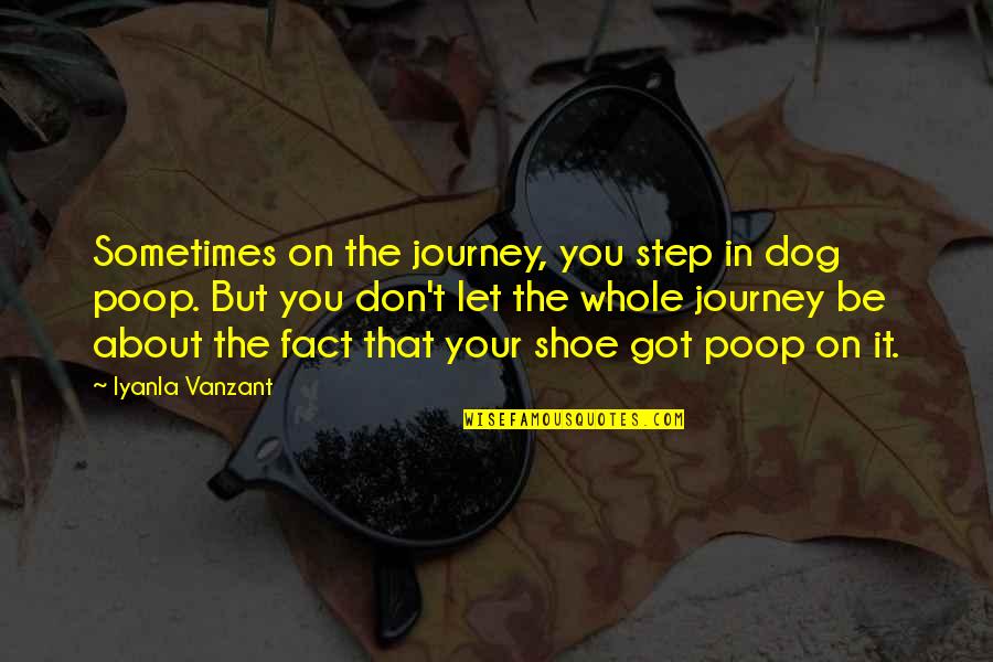 Step On My Shoes Quotes By Iyanla Vanzant: Sometimes on the journey, you step in dog