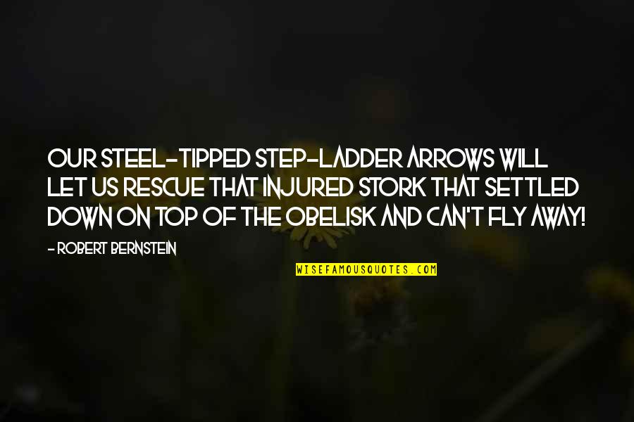 Step Up Or Step Down Quotes By Robert Bernstein: Our steel-tipped step-ladder arrows will let us rescue