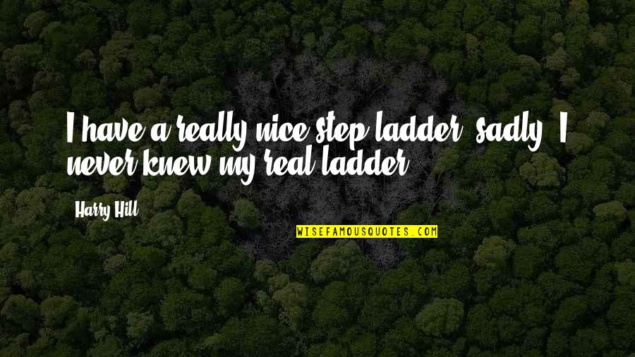 Step Up The Ladder Quotes By Harry Hill: I have a really nice step ladder, sadly,