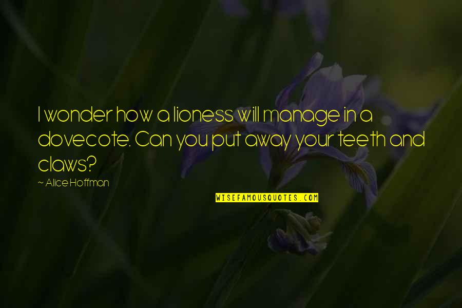 Stepanka Patreon Quotes By Alice Hoffman: I wonder how a lioness will manage in Stepanka Patreon Quotes By Alice Hoffman: I wonder how a lioness will manage in