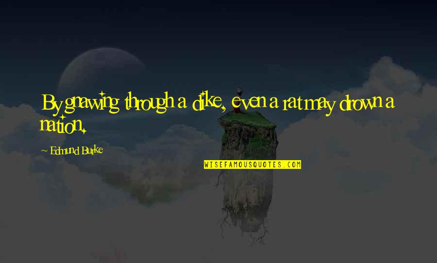 Stepedes Quotes By Edmund Burke: By gnawing through a dike, even a rat