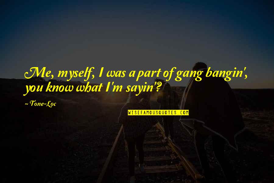 Stepfather To Stepdaughter Quotes By Tone-Loc: Me, myself, I was a part of gang