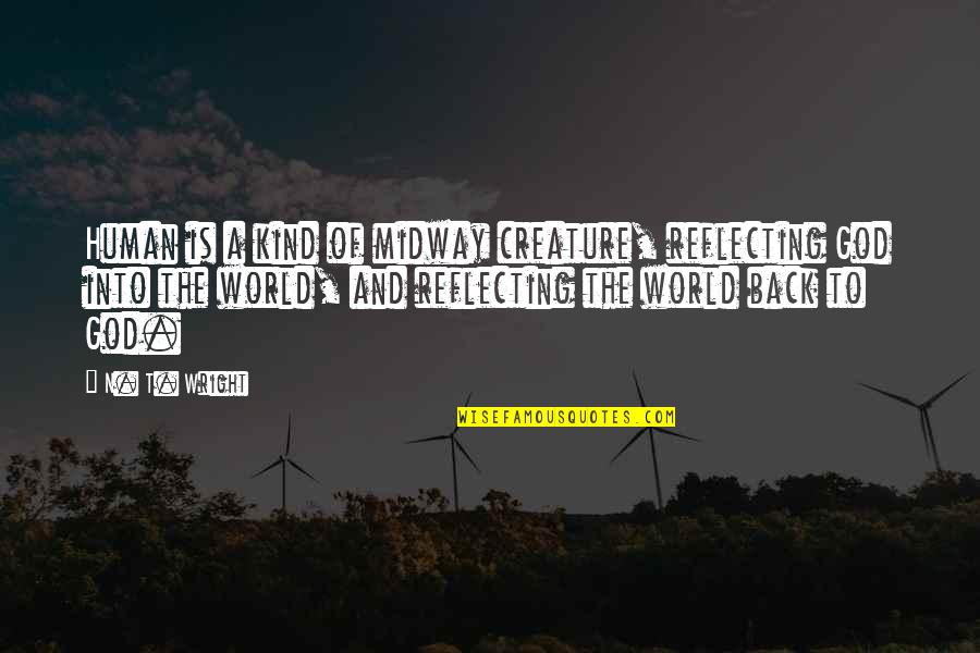 Steph Curry Basketball Quotes By N. T. Wright: Human is a kind of midway creature, reflecting