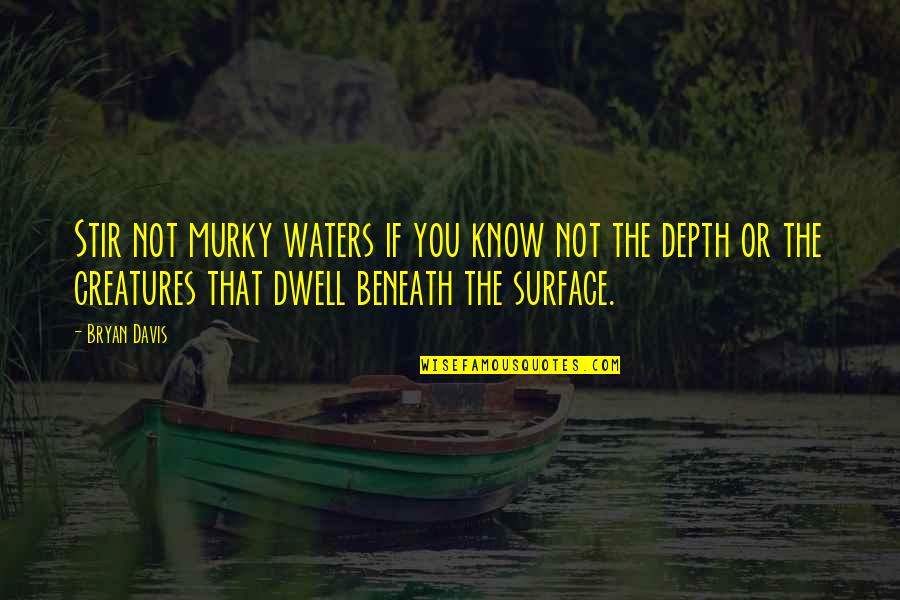 Stephan Caras Quotes By Bryan Davis: Stir not murky waters if you know not Stephan Caras Quotes By Bryan Davis: Stir not murky waters if you know not
