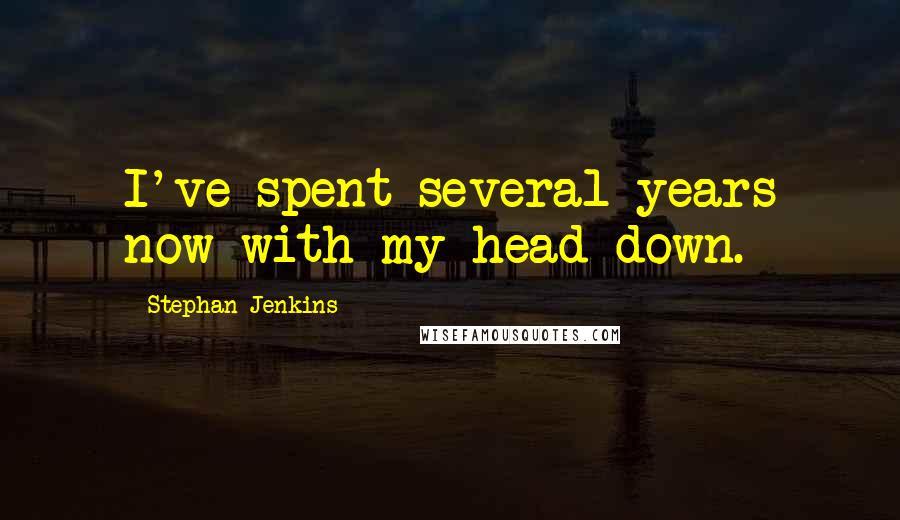 Stephan Jenkins quotes: I've spent several years now with my head down.