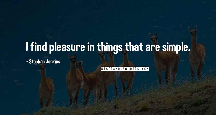 Stephan Jenkins quotes: I find pleasure in things that are simple.