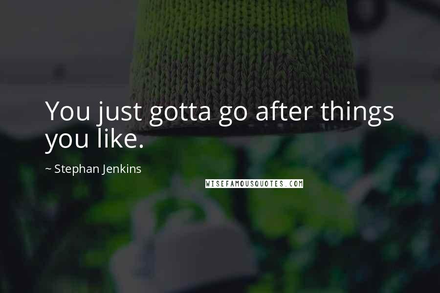 Stephan Jenkins quotes: You just gotta go after things you like.