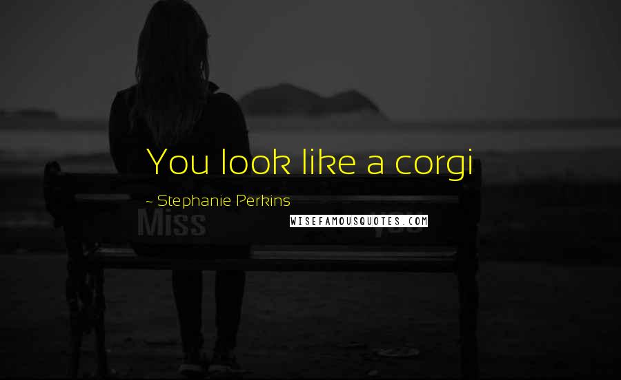 Stephanie Perkins quotes: You look like a corgi