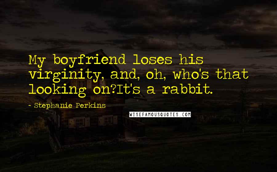 Stephanie Perkins quotes: My boyfriend loses his virginity, and, oh, who's that looking on?It's a rabbit.
