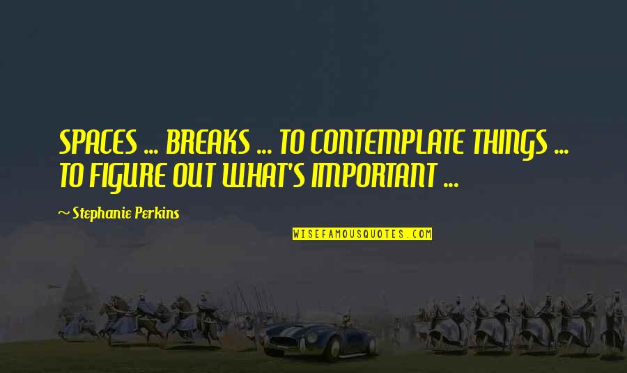 Stephanie Perkins Quotes By Stephanie Perkins: SPACES ... BREAKS ... TO CONTEMPLATE THINGS ...