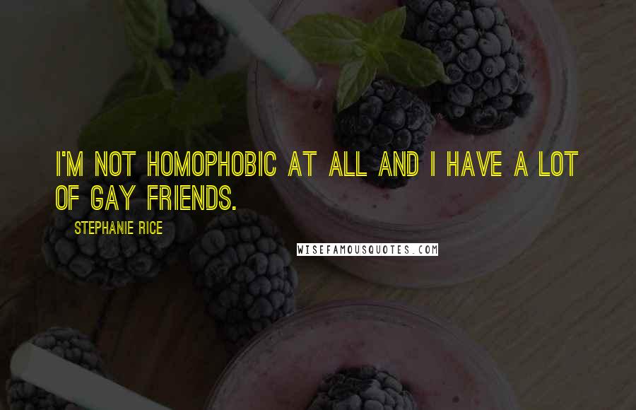 Stephanie Rice quotes: I'm not homophobic at all and I have a lot of gay friends.