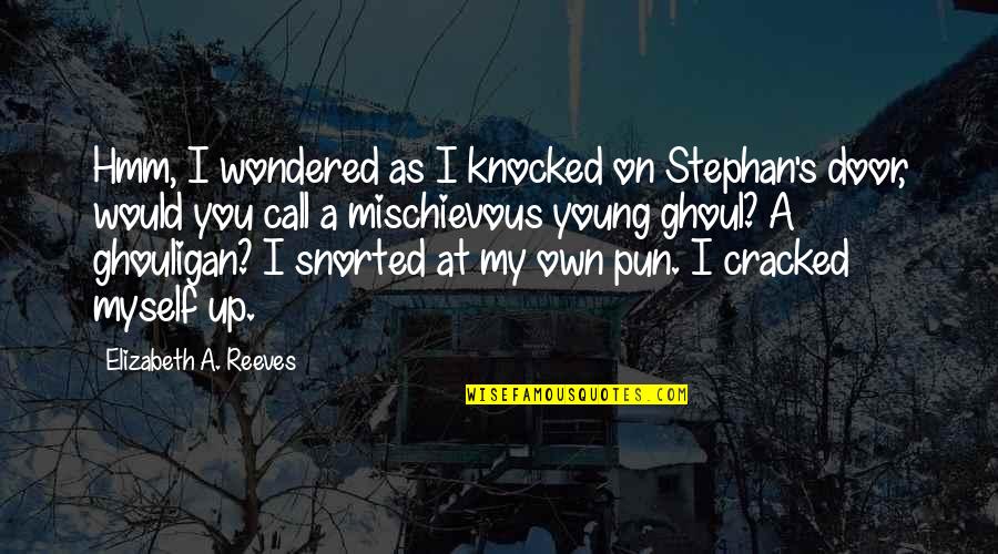 Stephan's Quotes By Elizabeth A. Reeves: Hmm, I wondered as I knocked on Stephan's