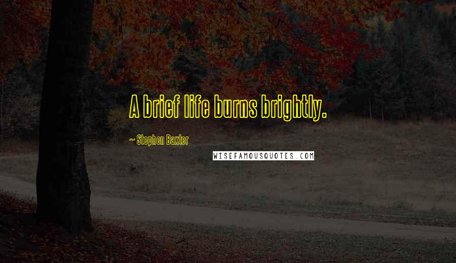 Stephen Baxter quotes: A brief life burns brightly.