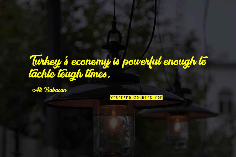 Stephen Callahan Quotes By Ali Babacan: Turkey's economy is powerful enough to tackle tough