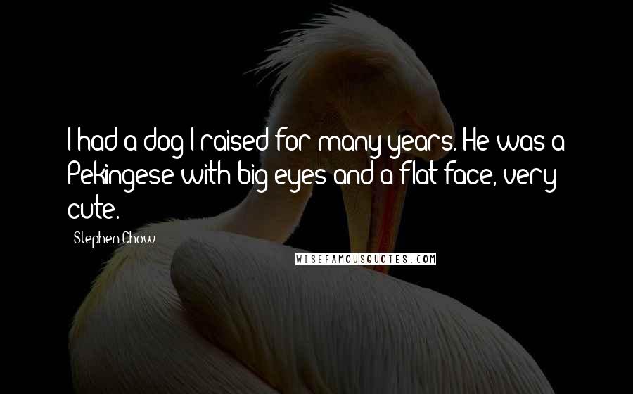 Stephen Chow quotes: I had a dog I raised for many years. He was a Pekingese with big eyes and a flat face, very cute.
