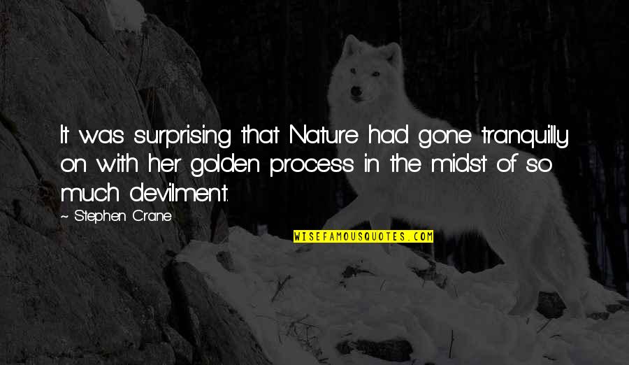 Stephen Crane Quotes By Stephen Crane: It was surprising that Nature had gone tranquilly