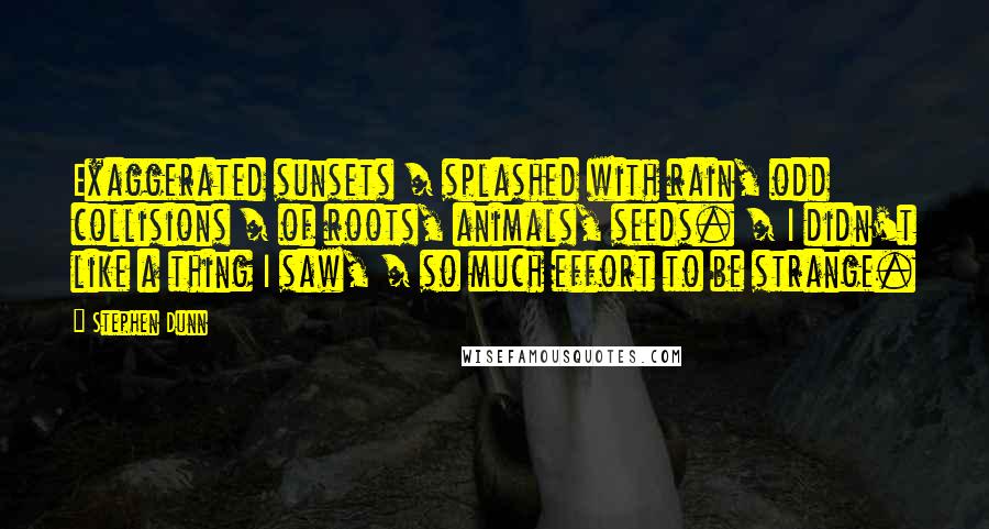 Stephen Dunn quotes: Exaggerated sunsets / splashed with rain, odd collisions / of roots, animals, seeds. / I didn't like a thing I saw, / so much effort to be strange.