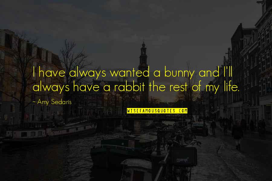 Stephen Fleming Ministries Quotes By Amy Sedaris: I have always wanted a bunny and I'll